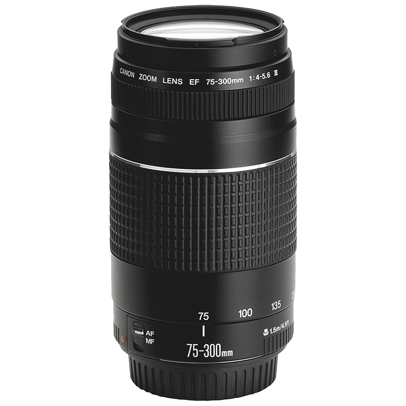 Canon EF 75-300mm f/4.0-5.6 III Lens - 6473A003