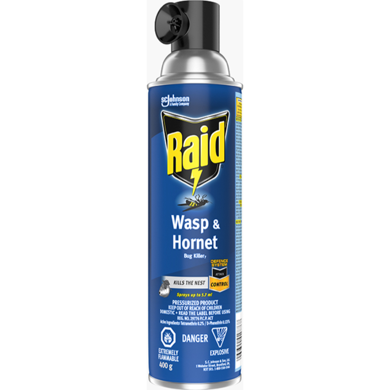 Raid Wasp and Hornet Spray - 400g