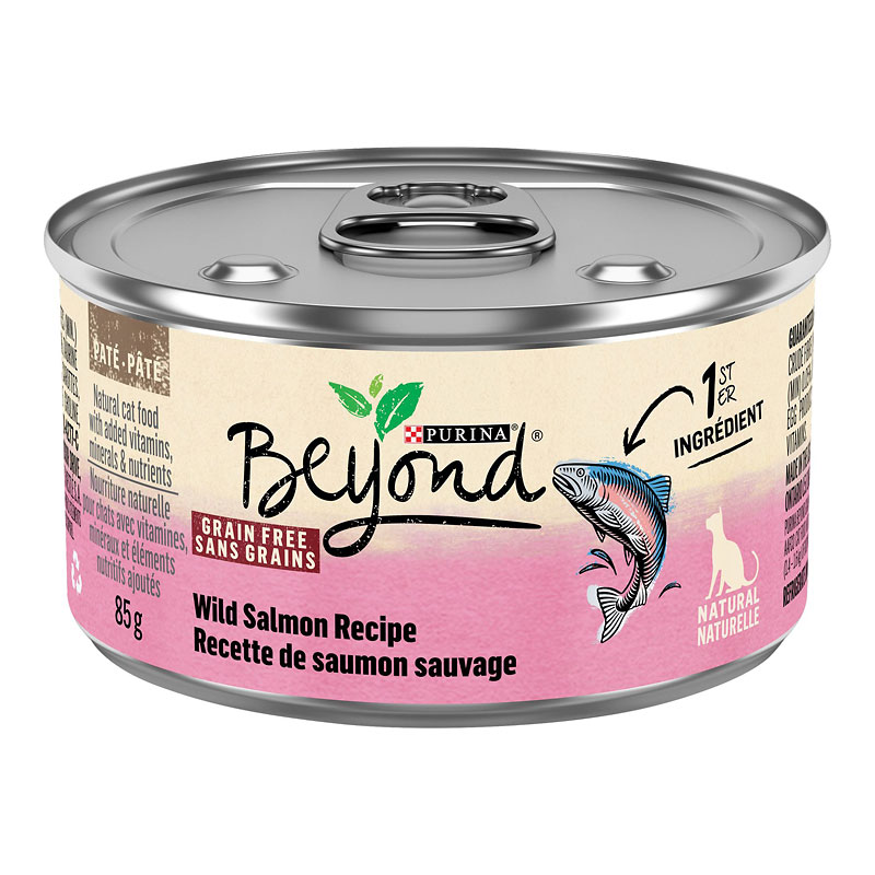 Beyond Grain Free Cat Food Wild Salmon 85g London Drugs