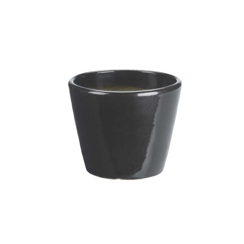 Collection by London Drugs Indoor Earthenware V-Pot - Black - Small