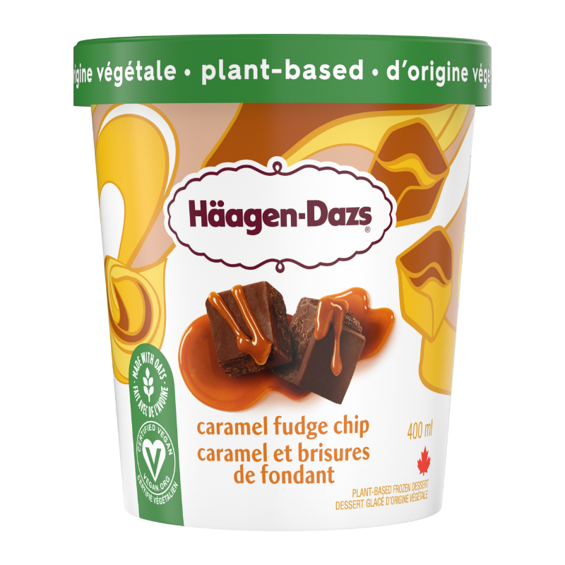 Haagen-Dazs Ice Cream - Caramel Fudge Chip - 400ml
