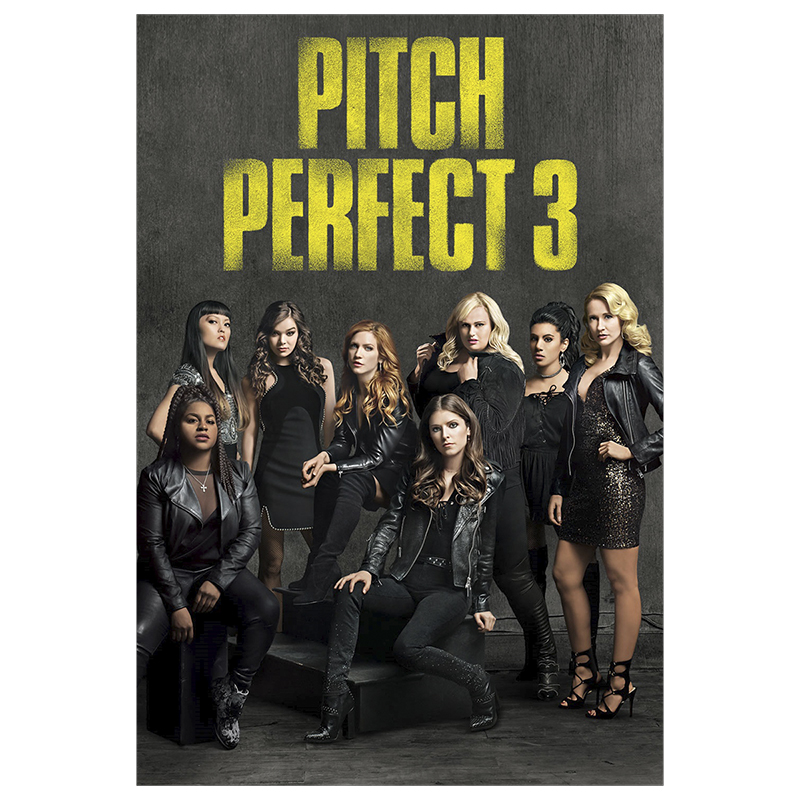 Pitch Perfect 3 - DVD