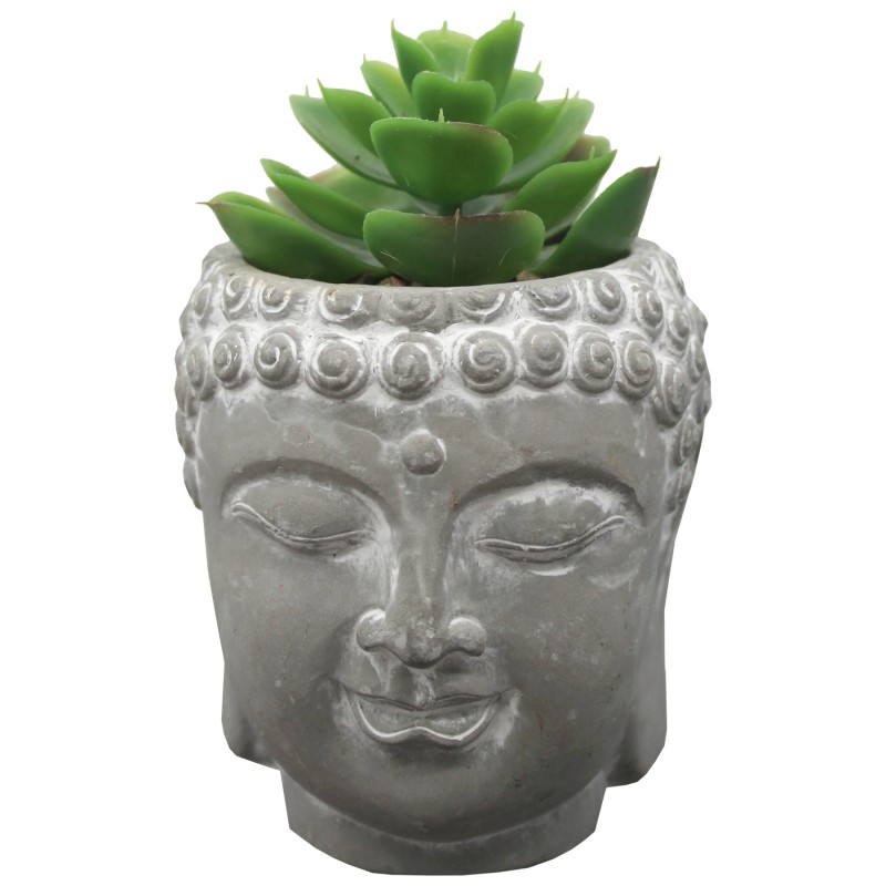 Buddha Head Plants and Rocks - Grey