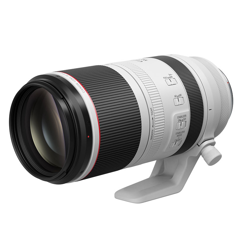 Canon RF 100-500mm F4.5-7.1 Lens - 4112C002