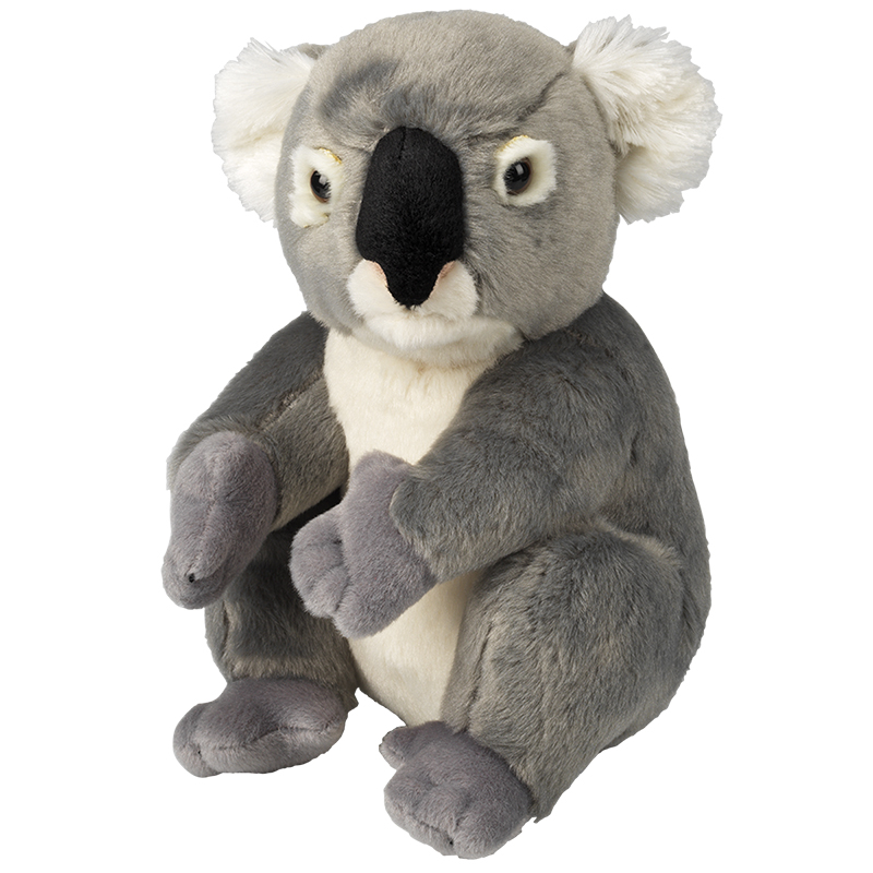koala bear plush toy