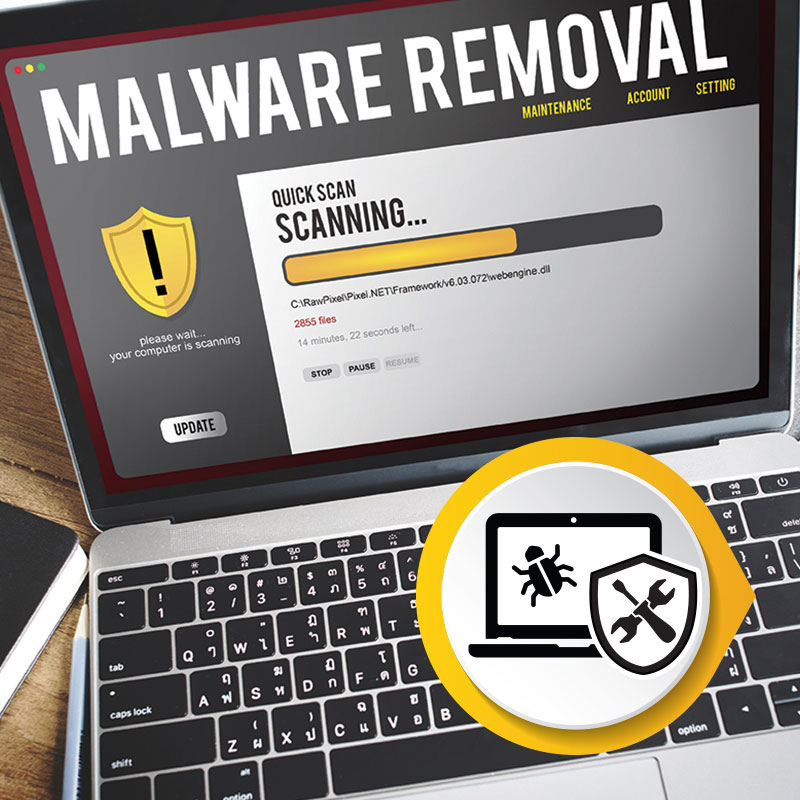 Advanced Virus and Malware Removal